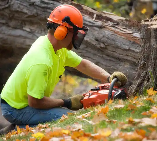 tree services Garland